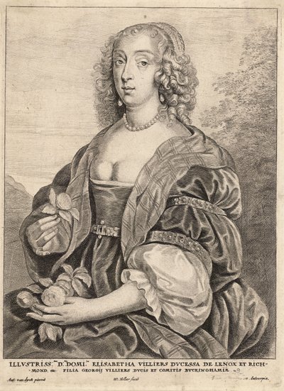 Duchess of Lennox (after van Dyck) (State 5) by Wenceslaus Hollar